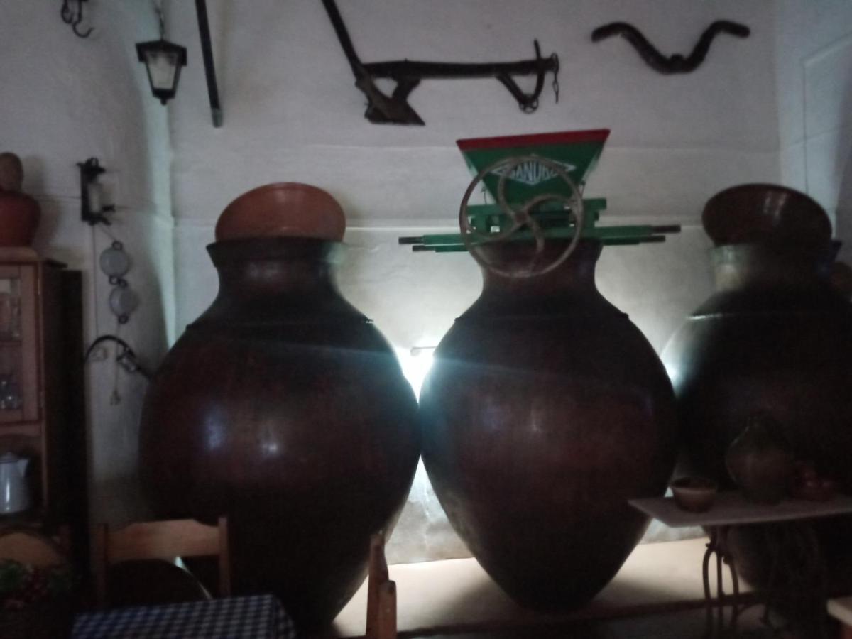 Vila AlvaAlojamento Taberna A Talha别墅 外观 照片